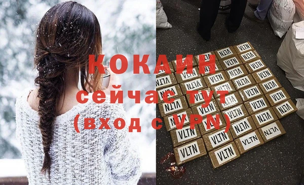 прущие грибы Абаза