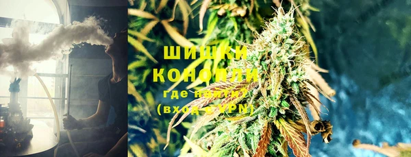 PSILOCYBIN Абдулино