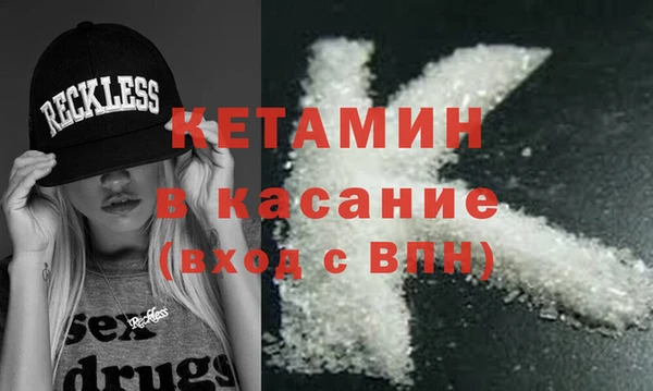 прущие грибы Абаза