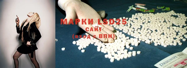 PSILOCYBIN Абдулино