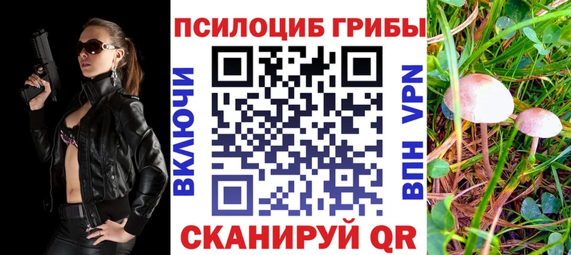 kraken ONION  где можно купить   Чишмы  Галлюциногенные грибы GOLDEN TEACHER 
